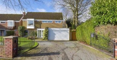 Redlake Drive